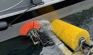 AOQUN Marine Brushes: Guardians of Cleanliness ...