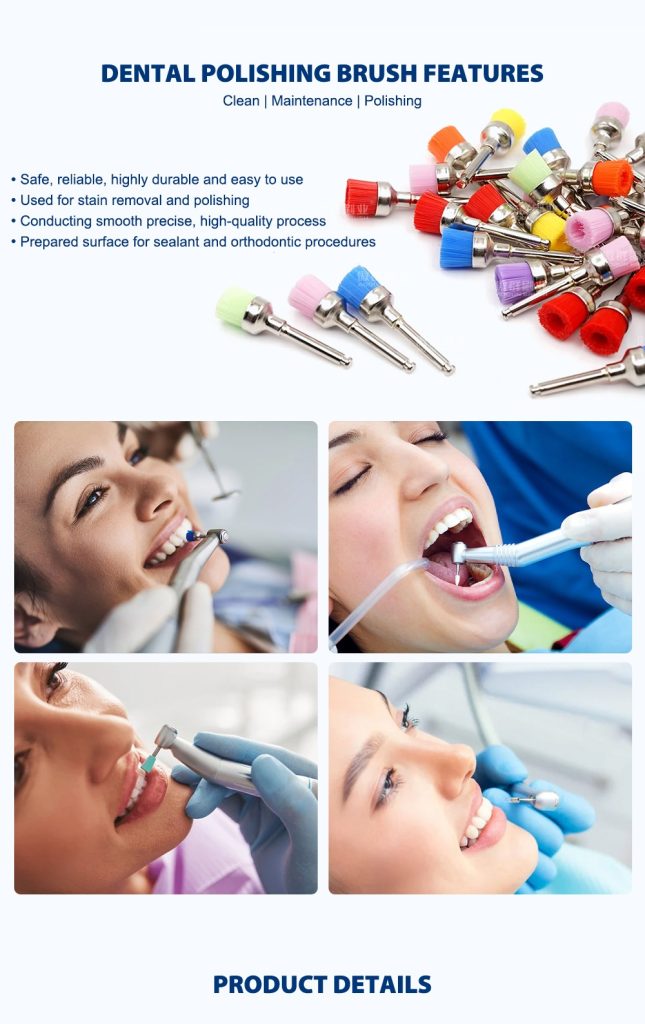 Nylon Dental Polishing Brush | Bowl Shape Prophy Brush Dental | Medical Brush