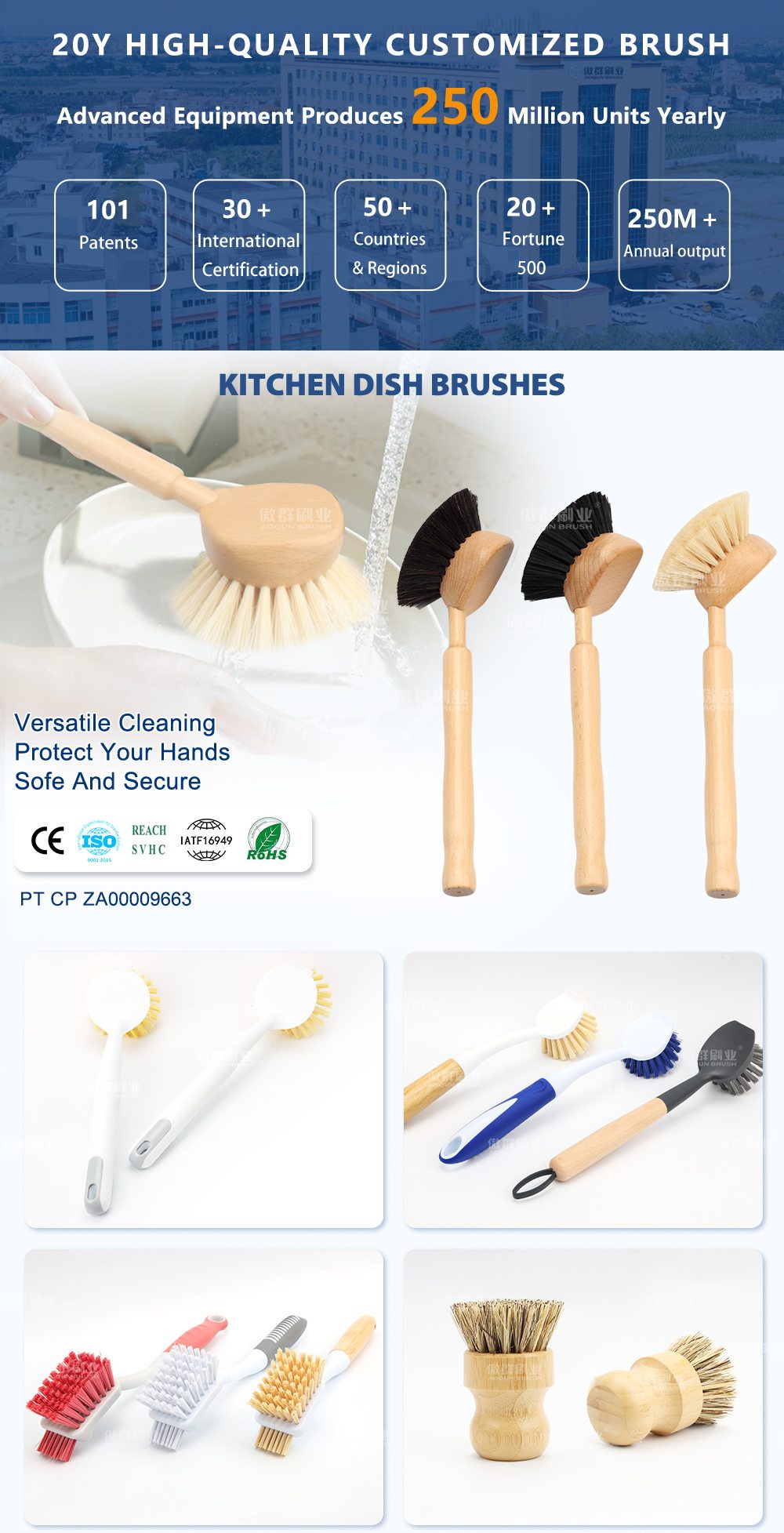Dish Brush with Handle