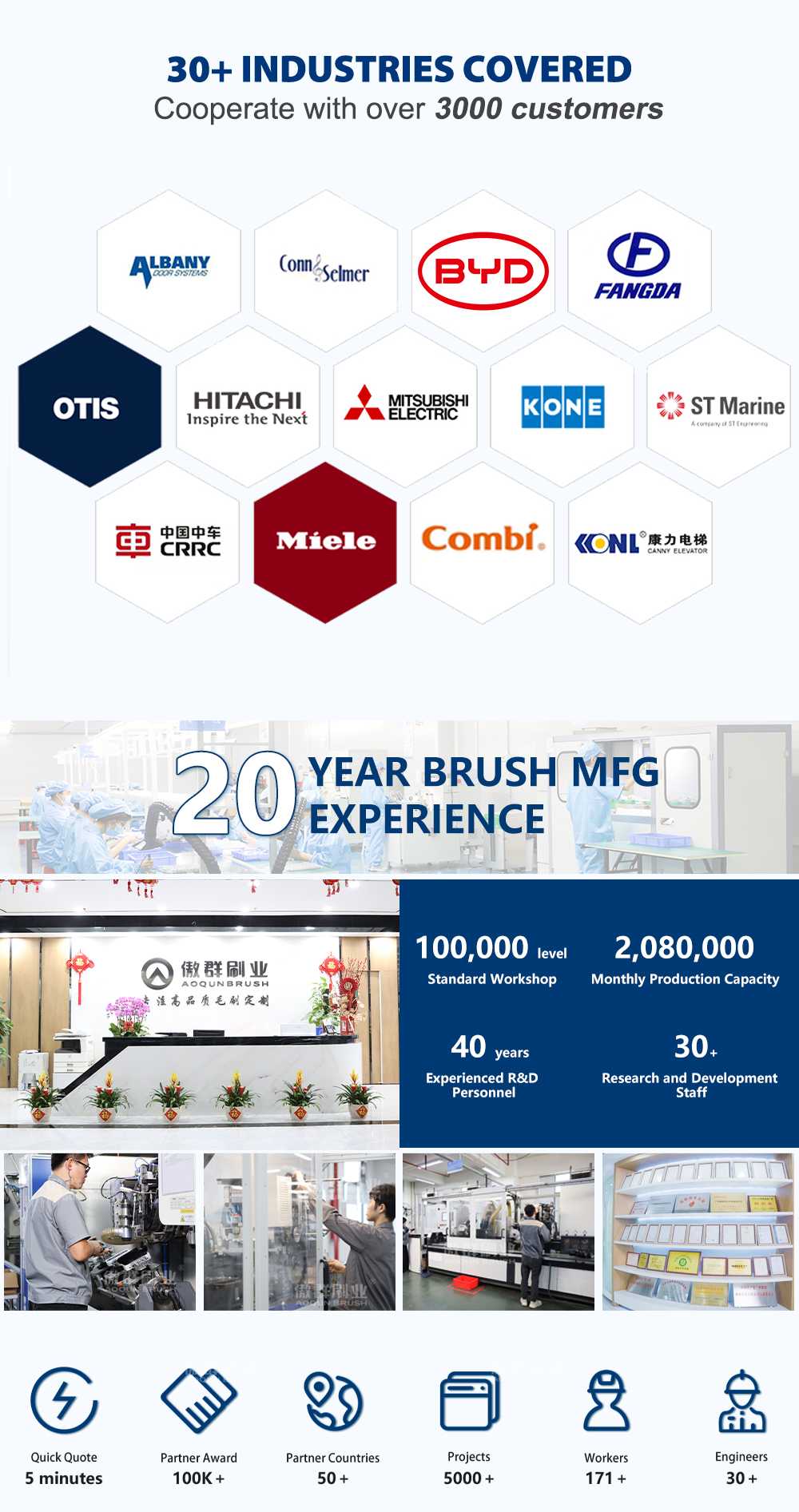 Dish Brush with Handle