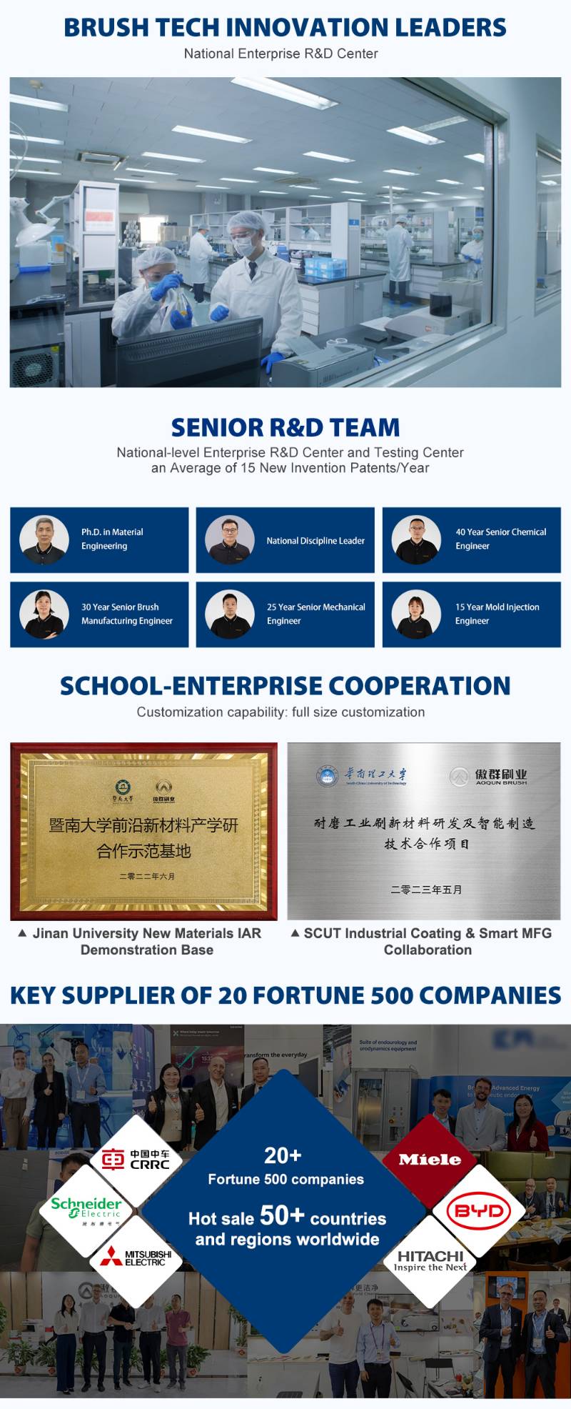 Grill Brush and Scraper for Barbecue | Wooden Handle and Replaceable Stainless Steel Bristles Head