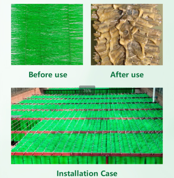 Boosting Hatchery Survival Rates by 30%: The Critical Role of Specialized Aquaculture Brushes（images 2）