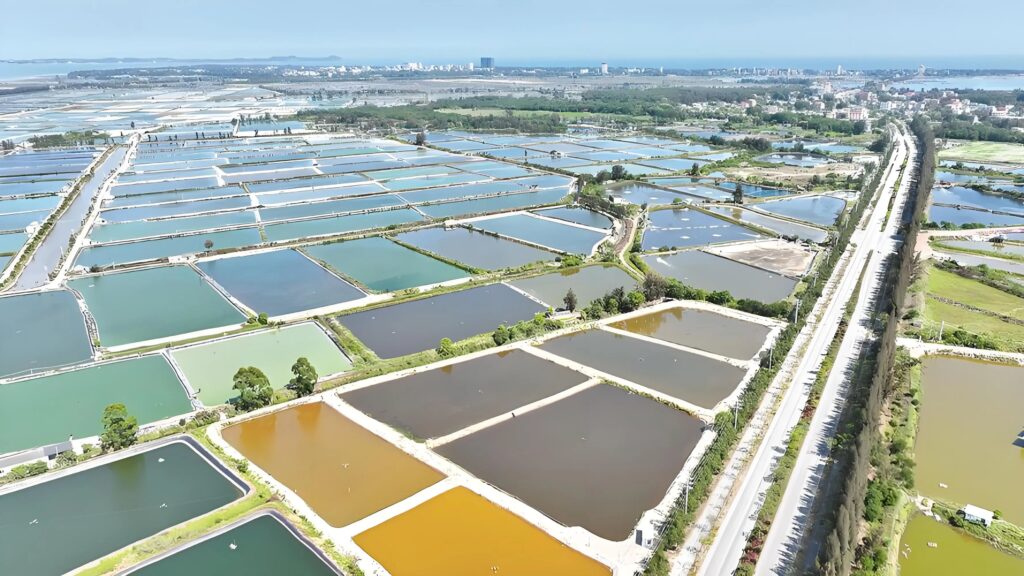 Boosting Hatchery Survival Rates by 30%: The Critical Role of Specialized Aquaculture Brushes(images 1)