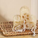 Wooden Kitchen Cleaning Brush Set | Natural Sisal, Loofah & Beech Dish Brushes