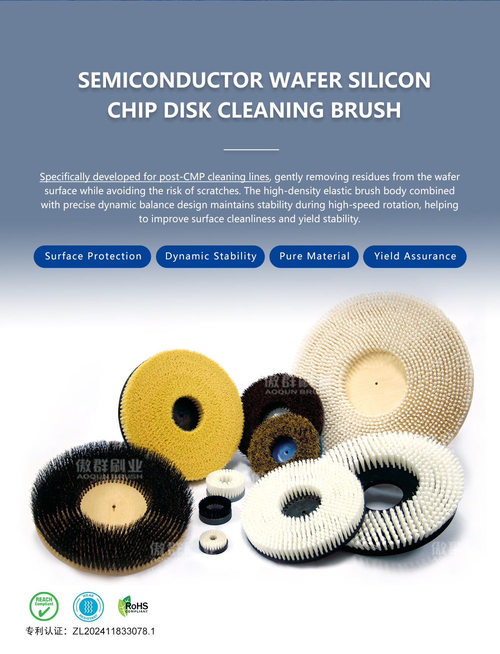 Semiconductor wafer disc brush details 1